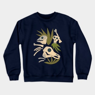 Fossils Crewneck Sweatshirt